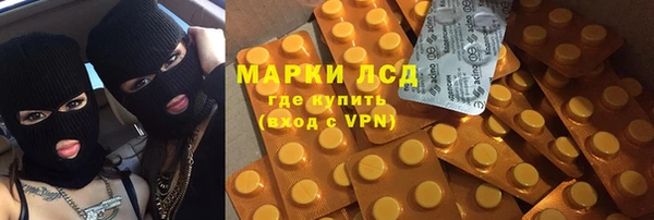 прущий лед Алзамай