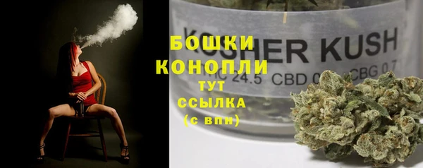 прущий лед Алзамай