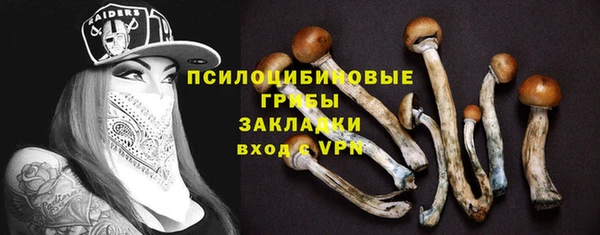 ПСИЛОЦИБИНОВЫЕ ГРИБЫ Алексеевка
