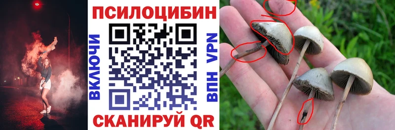 Псилоцибиновые грибы прущие грибы  Краснотурьинск 